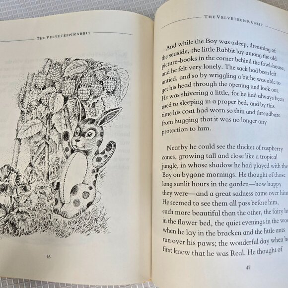 3/$45💕 Vintage 1980s The Velveteen Rabbit Hardcover – Classic - Picture 6 of 6